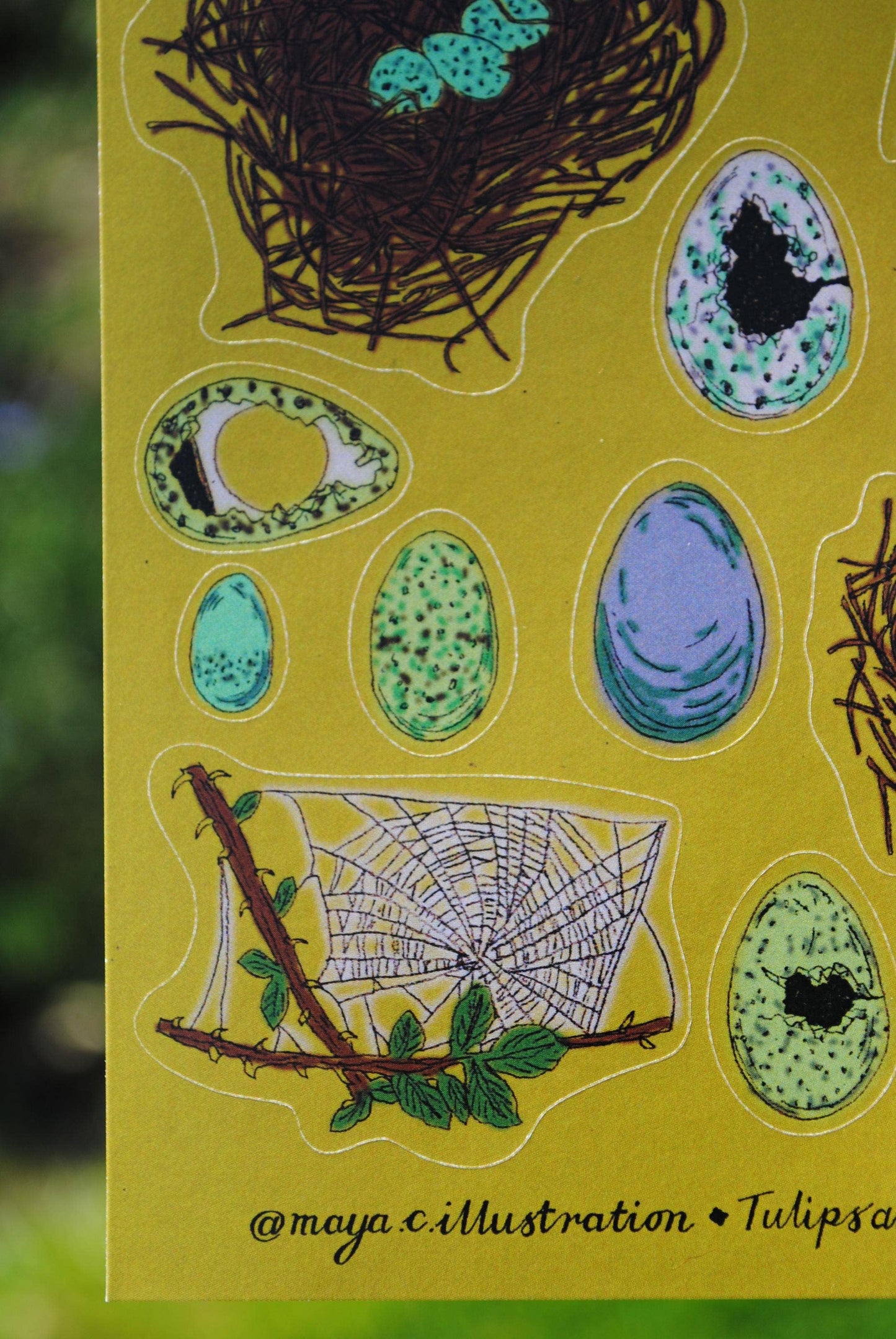 Sticker Sheet "Nests, Webs, Eggs" for journals and planners