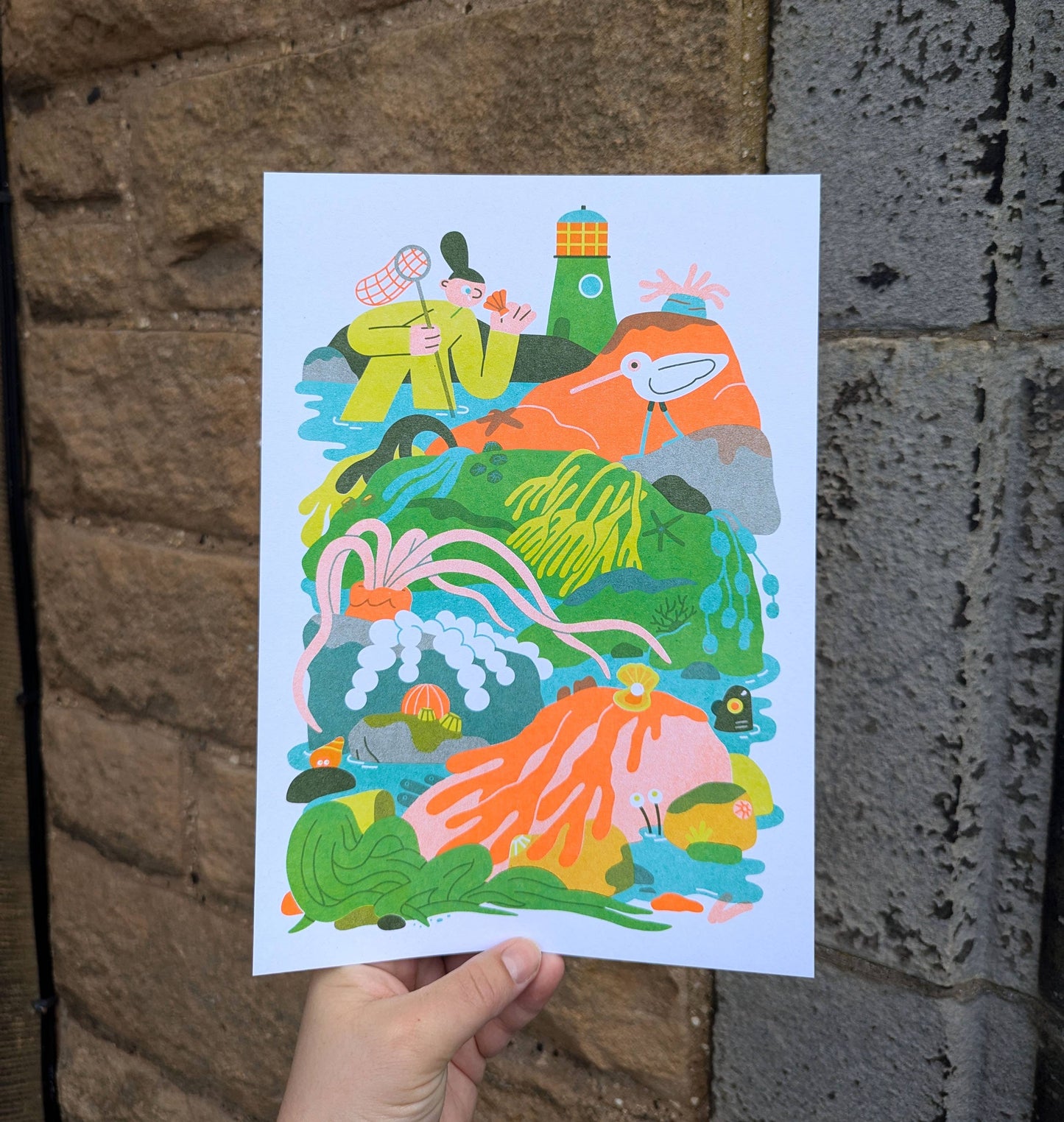 Rockpool Risograph Print