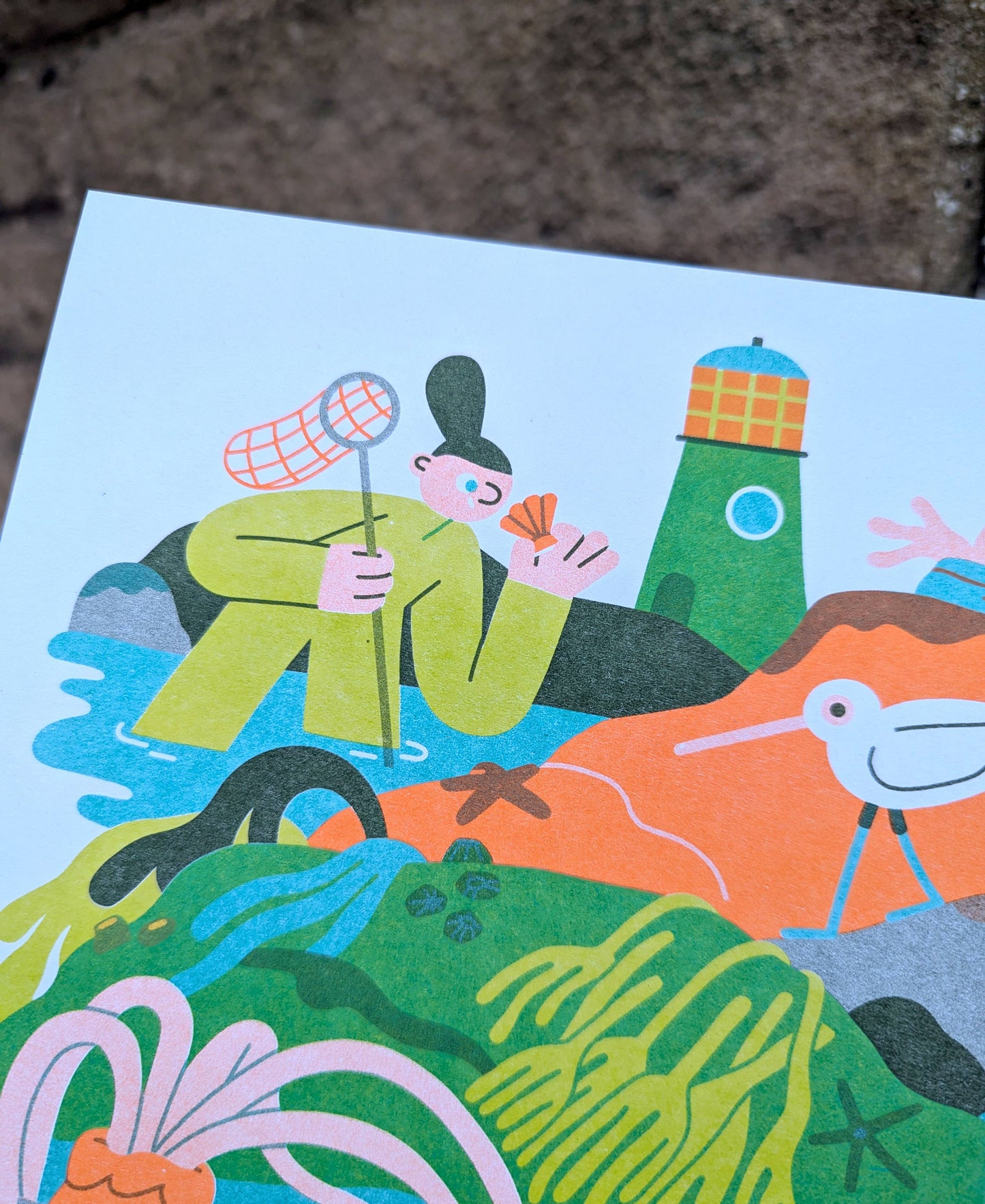 Rockpool Risograph Print