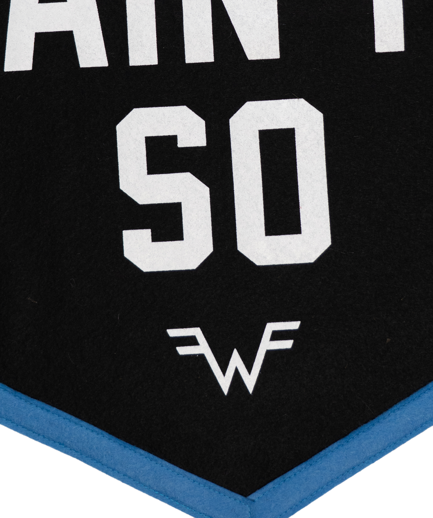 Say It Ain't So Camp Flag • Weezer x Oxford Pennant