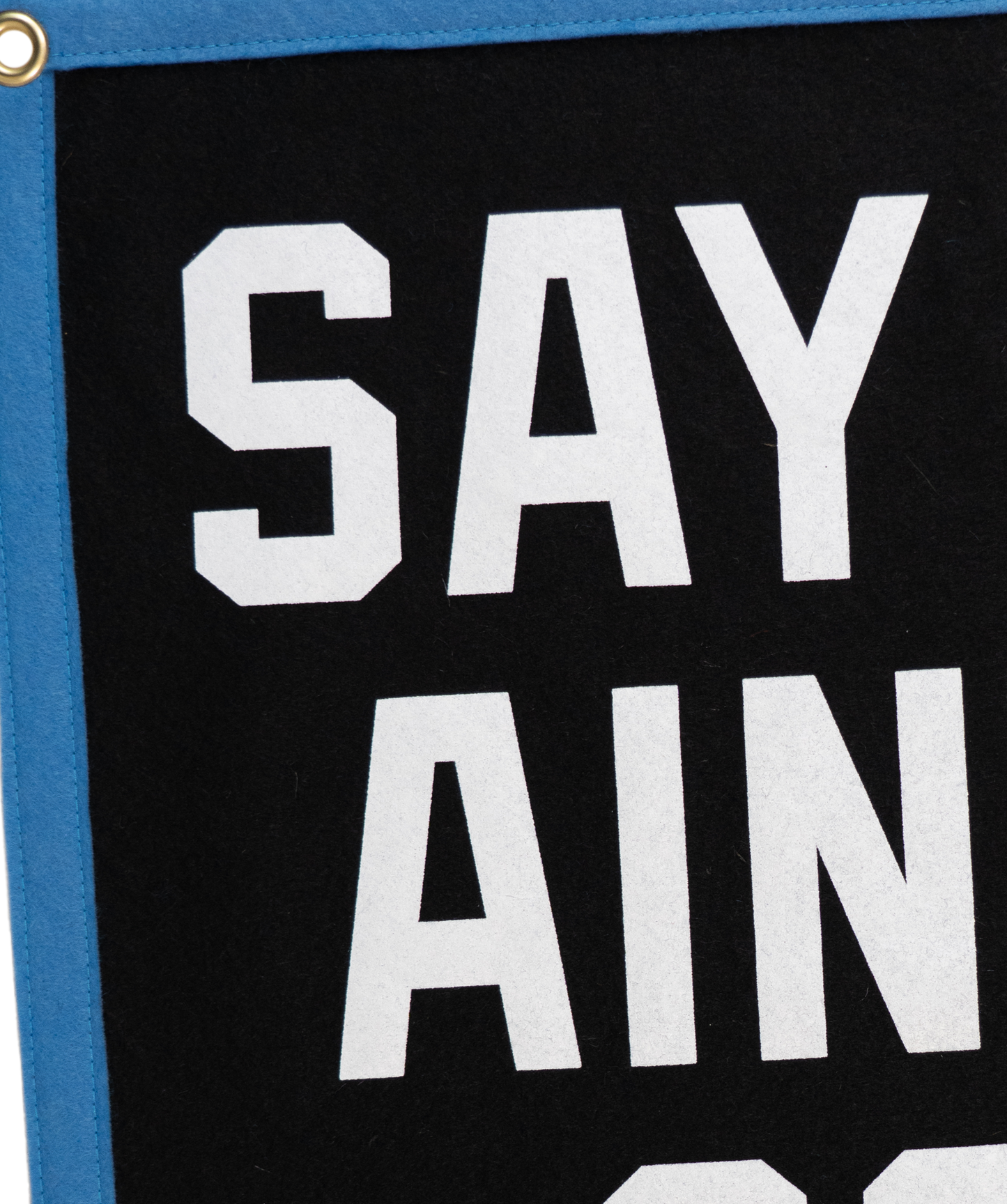 Say It Ain't So Camp Flag • Weezer x Oxford Pennant