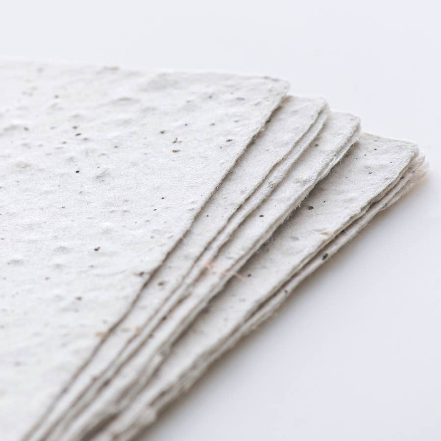 Onion - Awagami Infused Handmade Postcard Set