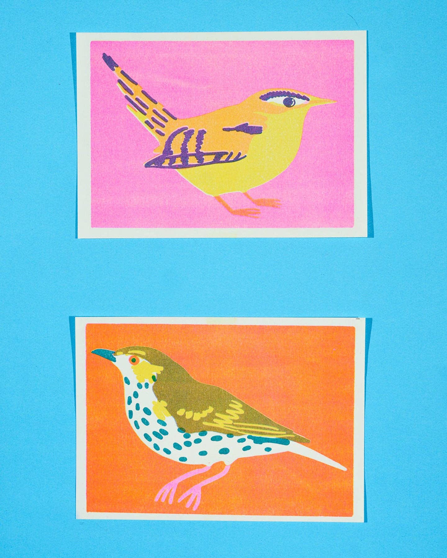 Wren Print