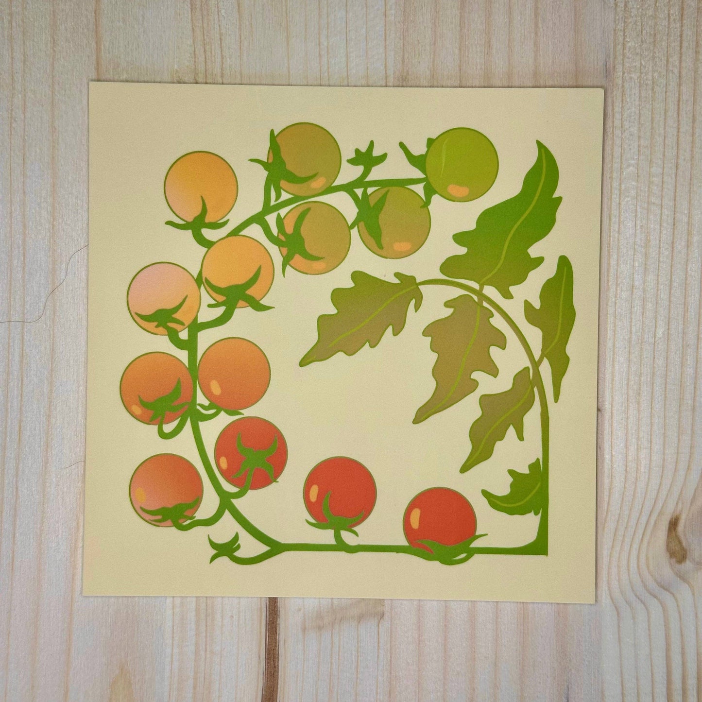 Greeting Cards: Above the Fields