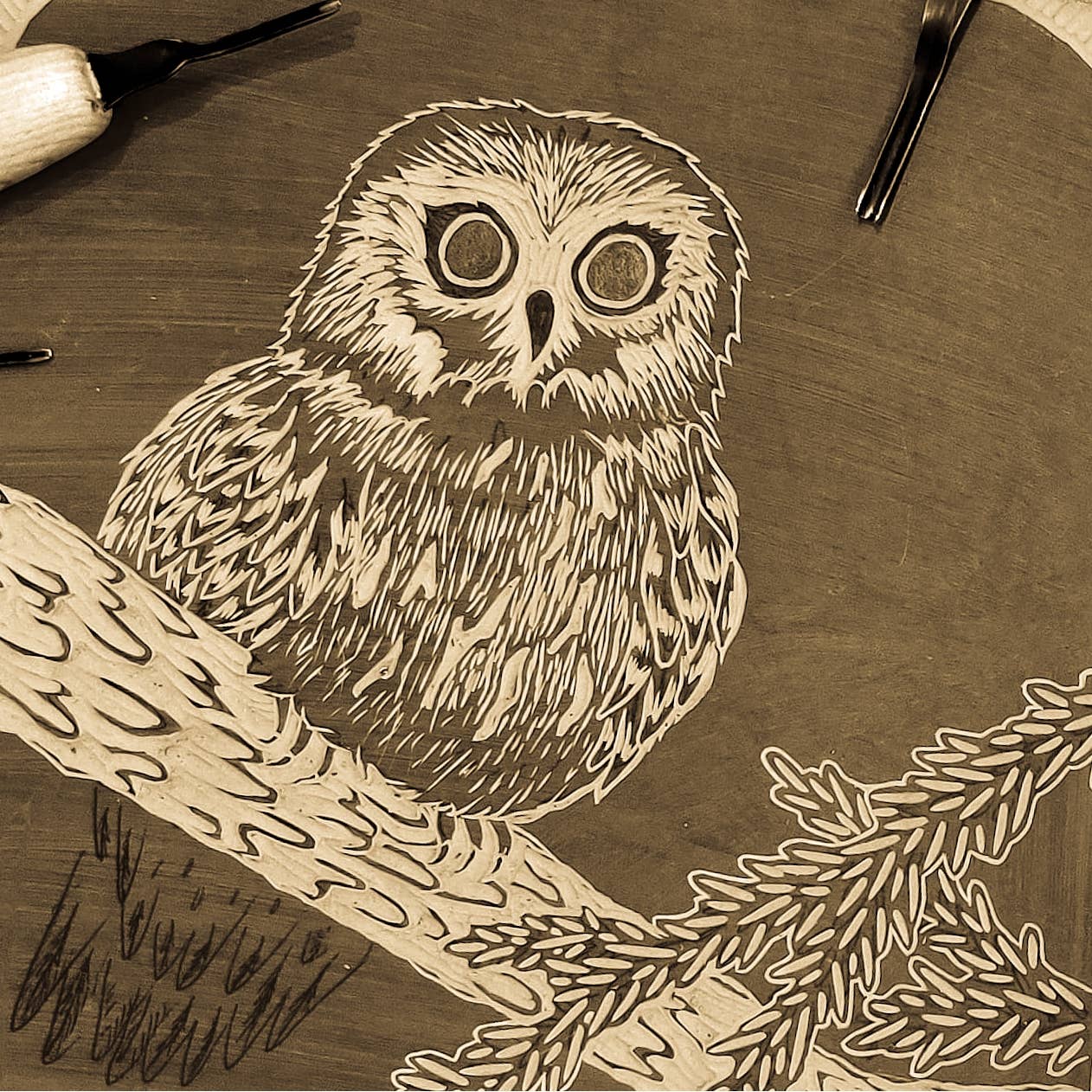 Saw-whet Owl Linocut Card