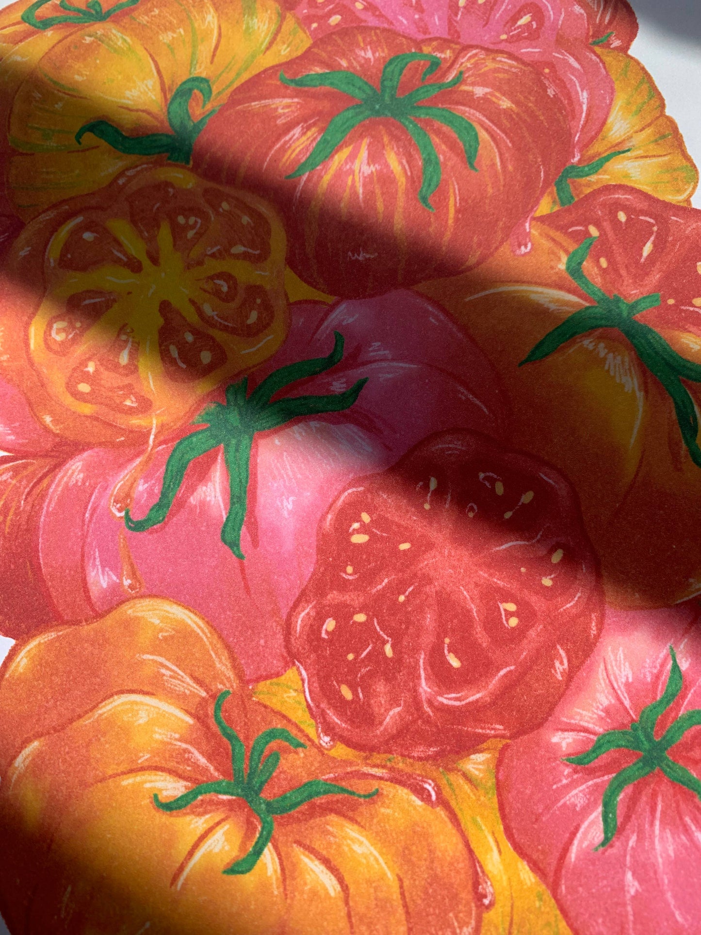 Tomato Season