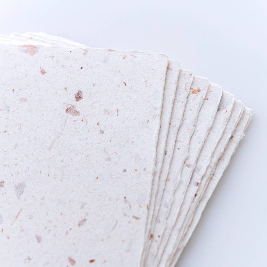 Onion - Awagami Infused Handmade Postcard Set