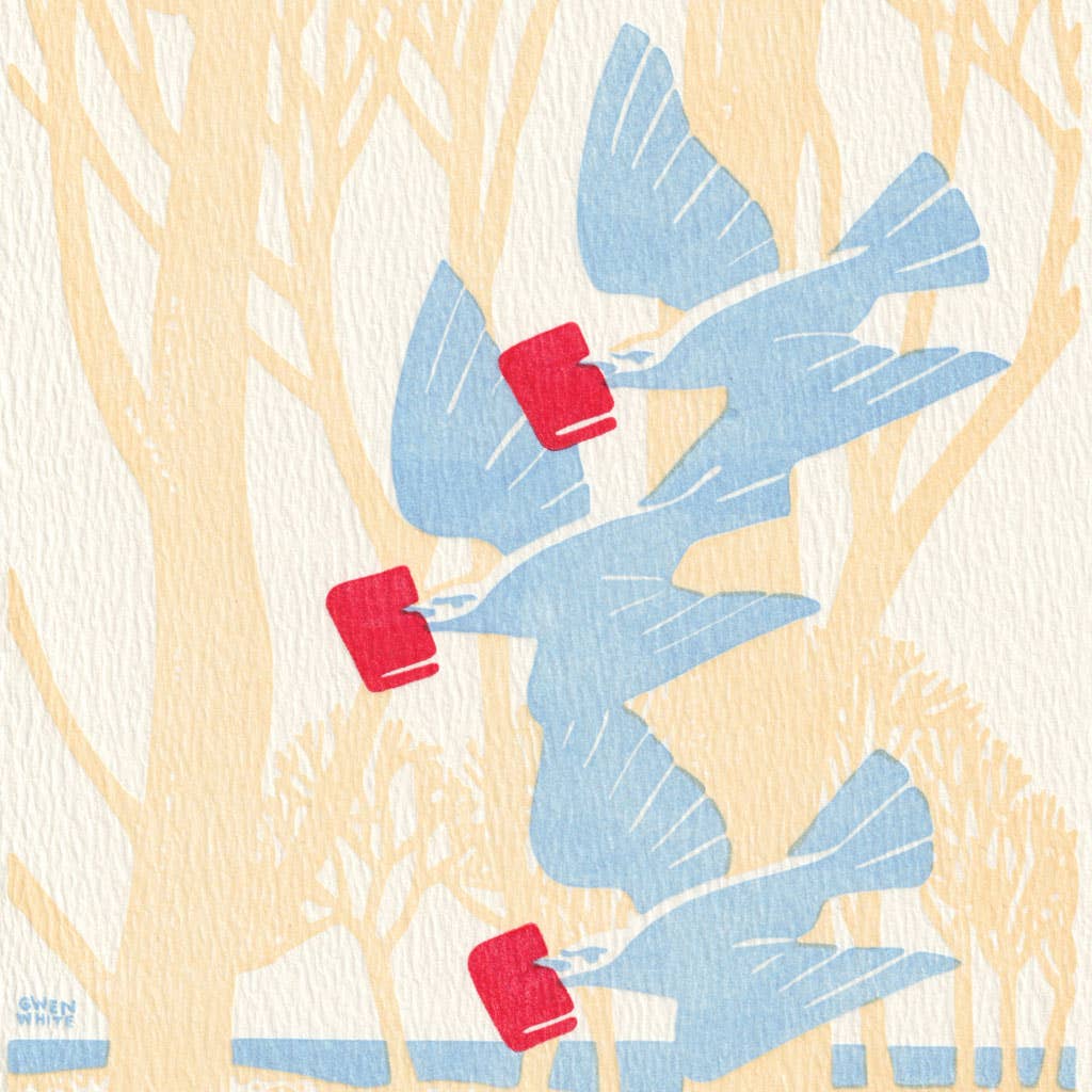 Book Birds: Unsleeved