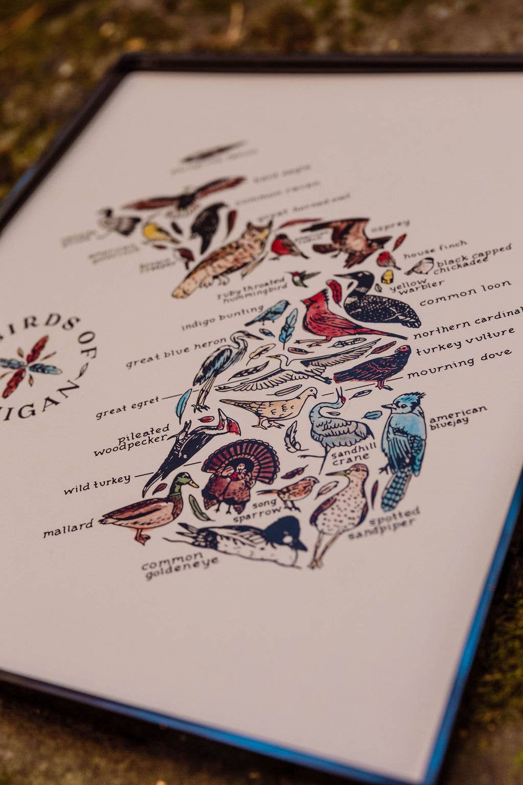 Birds of Michigan Watercolor Art Print