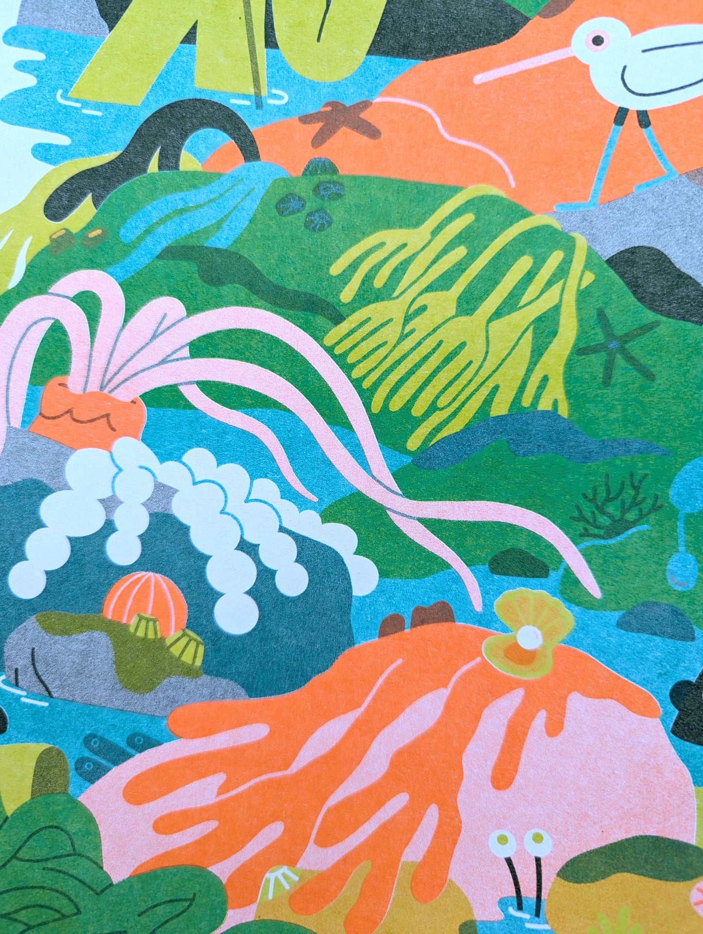 Rockpool Risograph Print