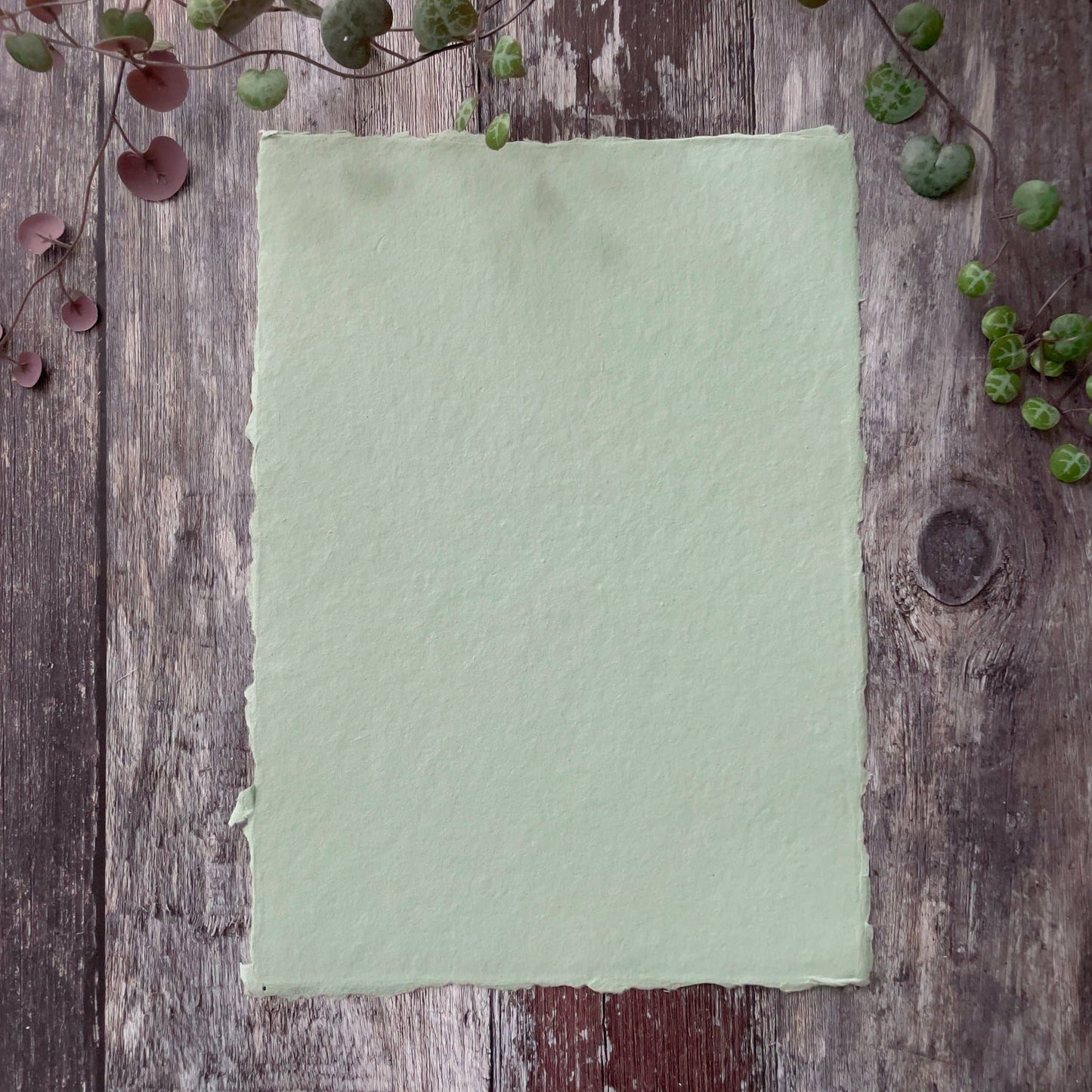 Dusky Green Handmade Paper | Per Sheet | Recycled Cotton Rag: 5" x 7"