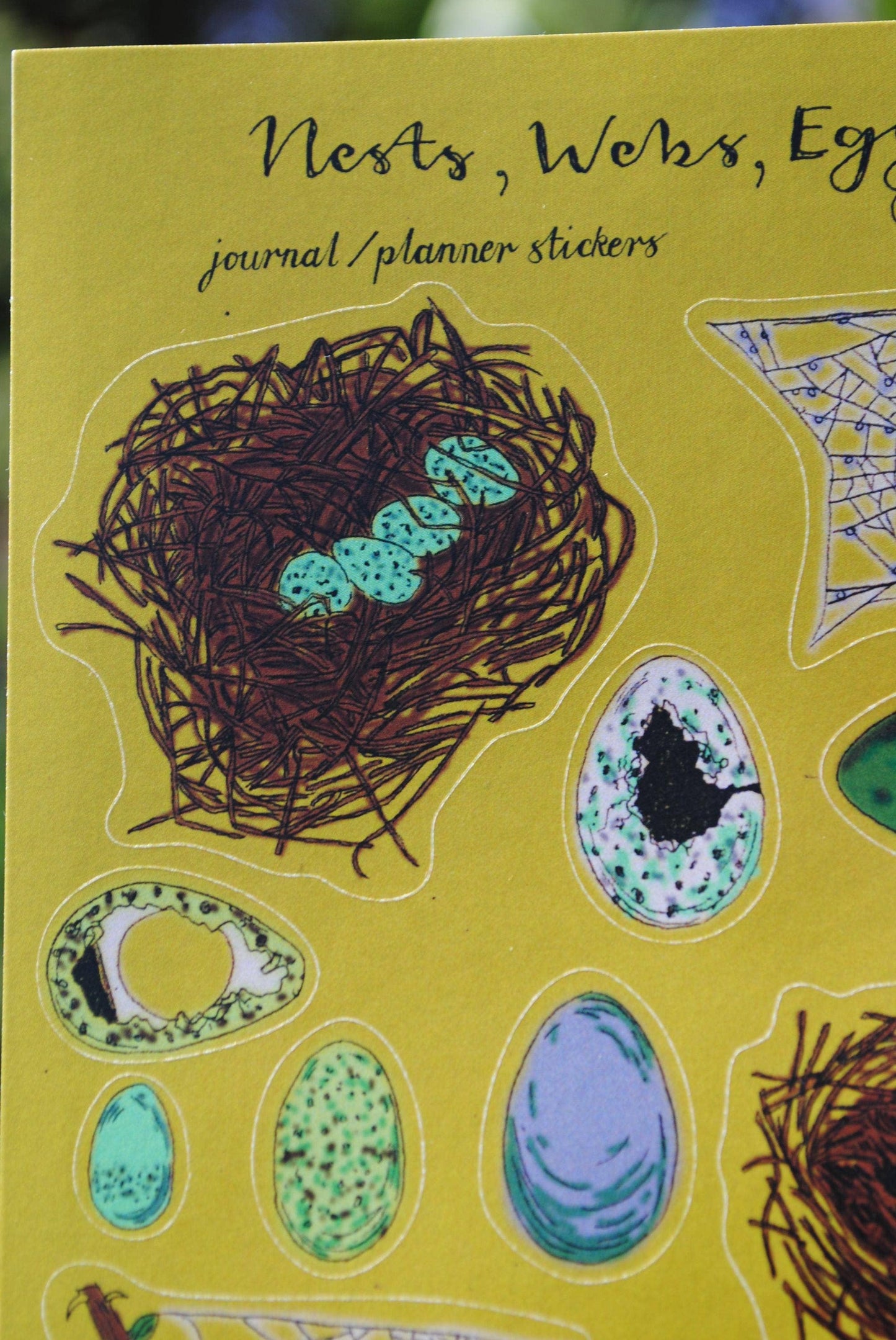 Sticker Sheet "Nests, Webs, Eggs" for journals and planners