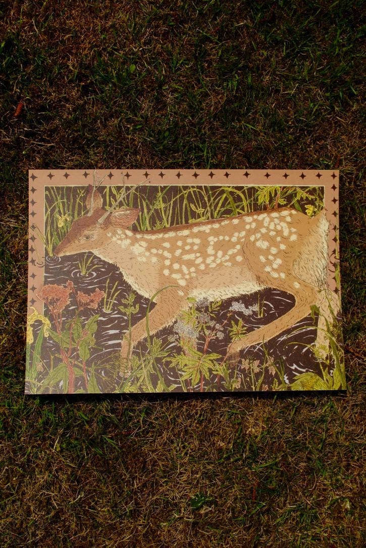 Damp Deer A3 Print