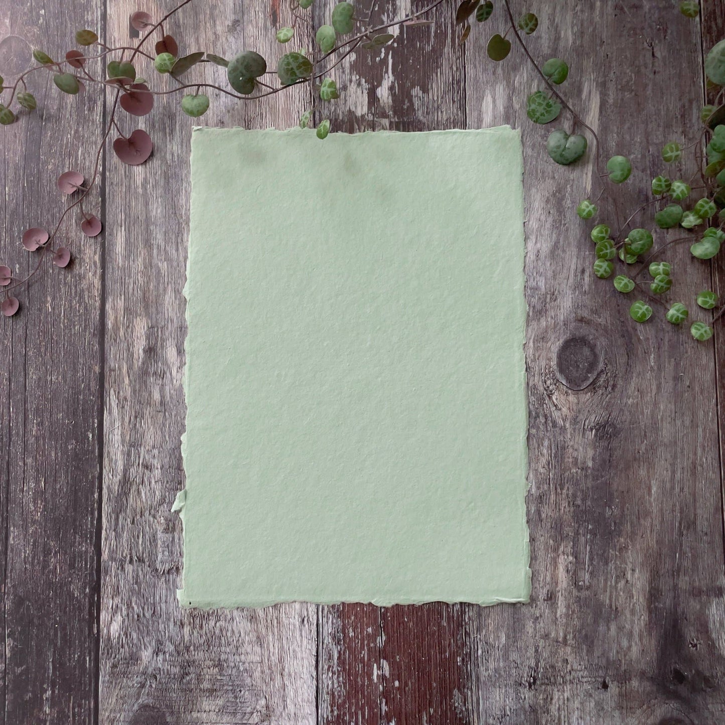 Dusky Green Handmade Paper | Per Sheet | Recycled Cotton Rag