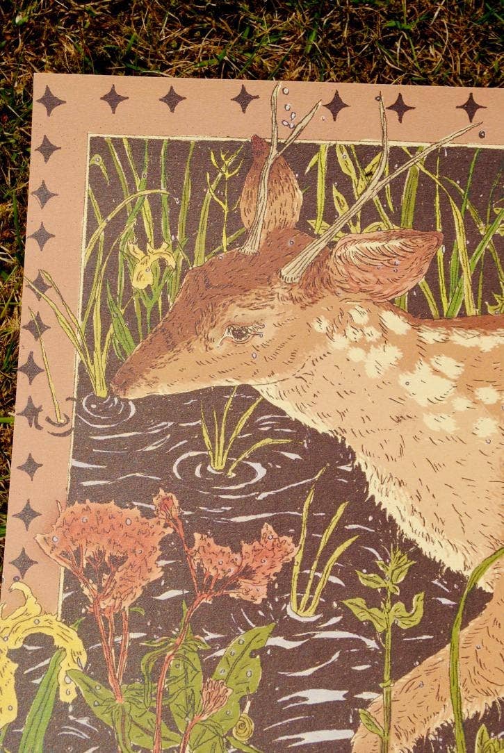 Damp Deer A3 Print