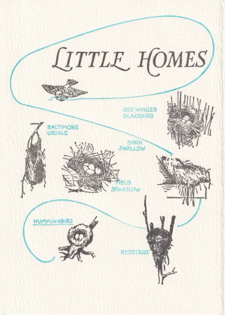 Little Homes: Unsleeved