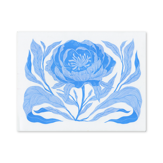 Peony Bloom Print