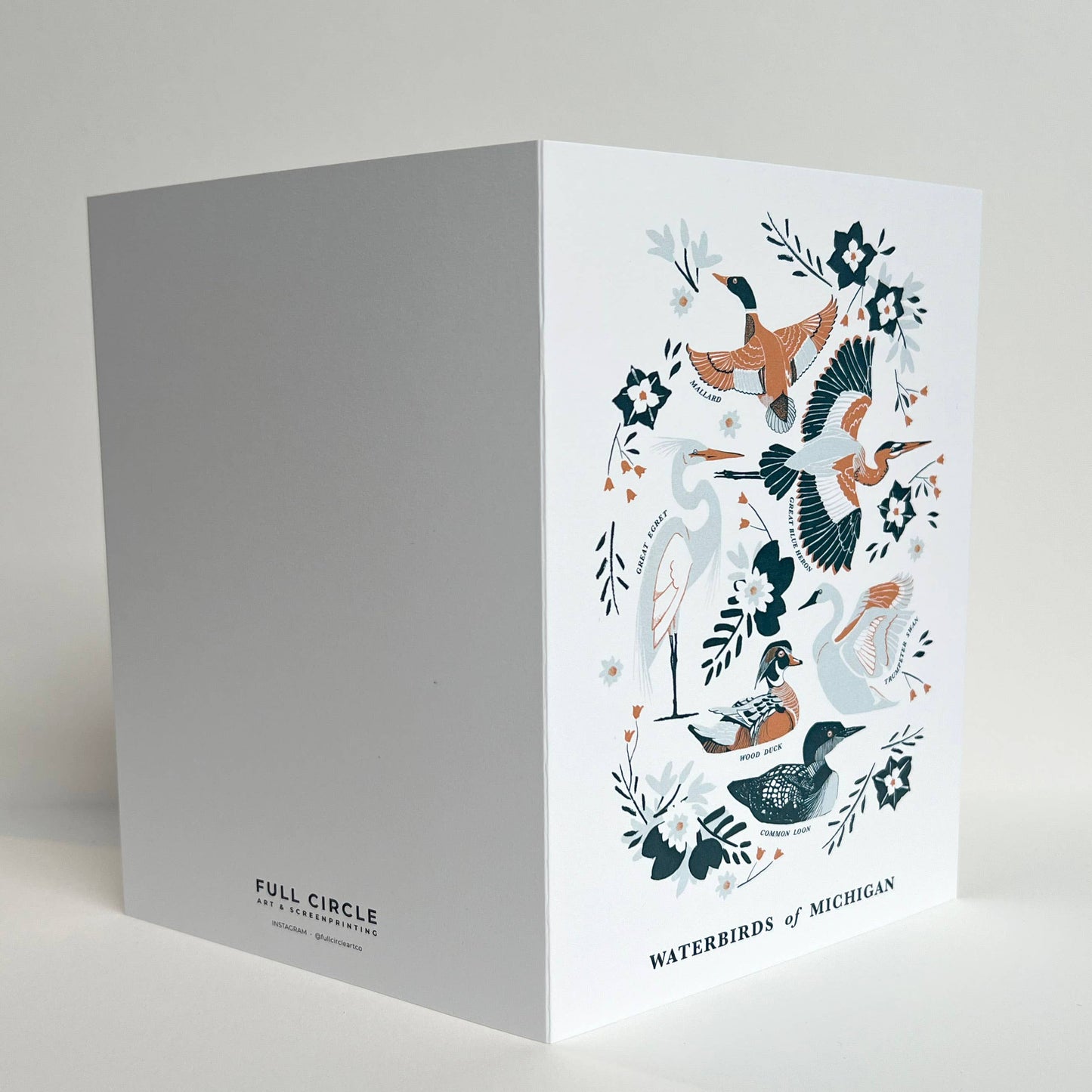 Great Lakes Nature Greeting Cards -Blank Inside: Style 1: Fish of the Great Lakes
