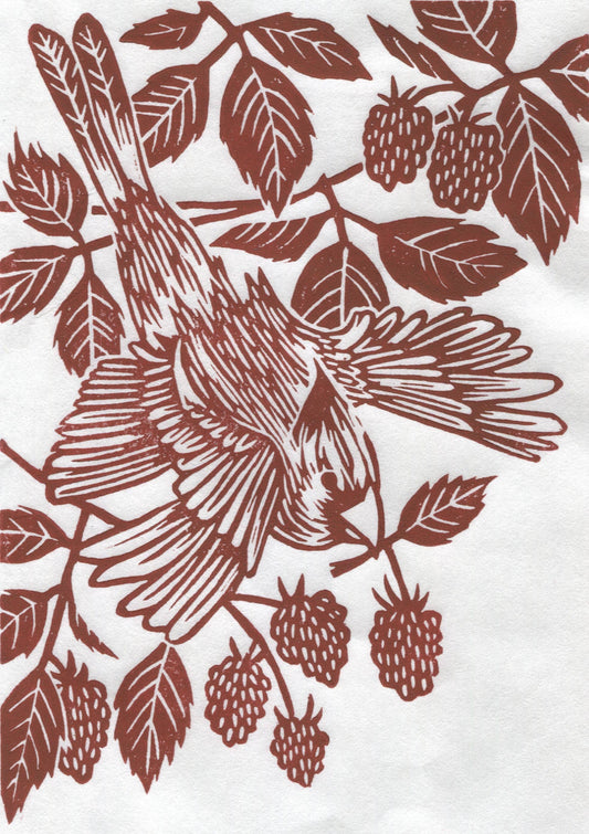 Raspberry  Thief (Cardinal Bird)  Linocut Print