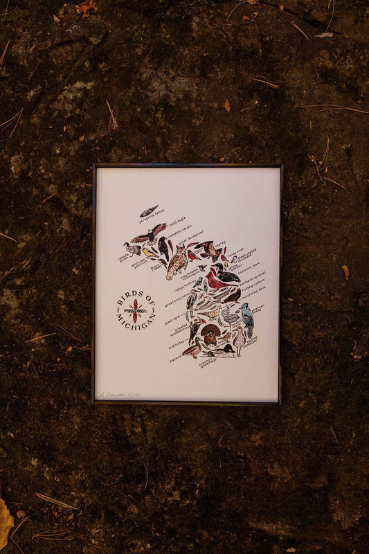 Birds of Michigan Watercolor Art Print