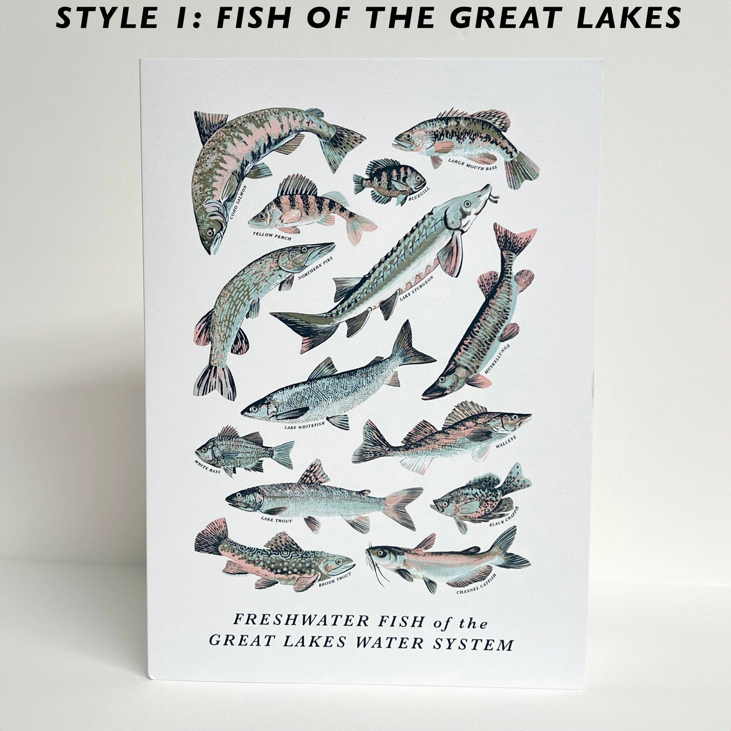 Great Lakes Nature Greeting Cards -Blank Inside: Style 1: Fish of the Great Lakes