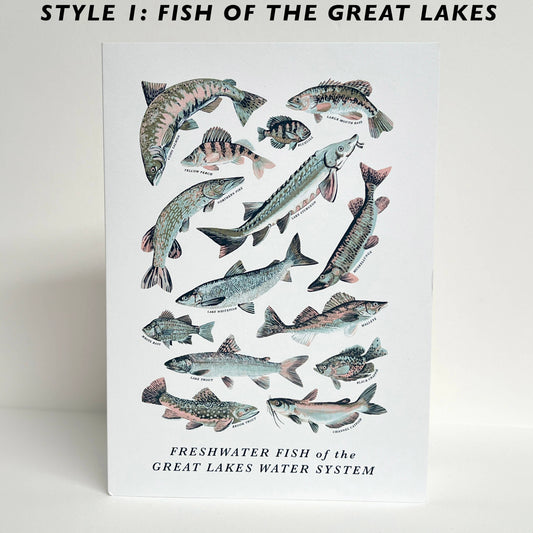 Great Lakes Nature Greeting Cards -Blank Inside: Style 1: Fish of the Great Lakes