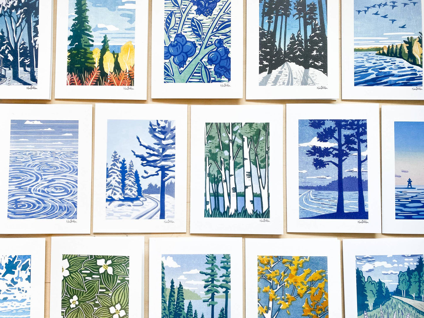 Autumn Pines Blank Greeting Card: With Clear EcoSleeve