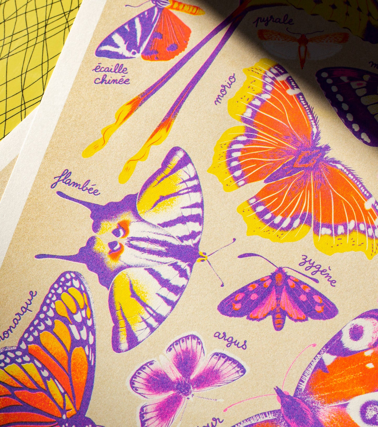 A3 Poster - Manon Bucciarelli - Butterflies