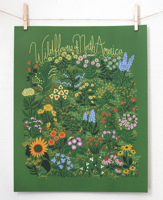 Wildflowers of North America Green Poster