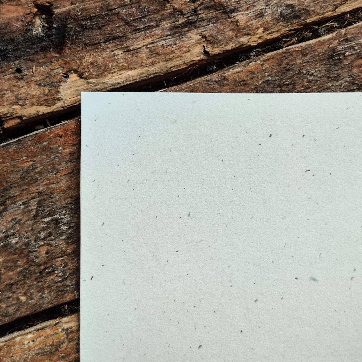 Send Your Best Linocut Card