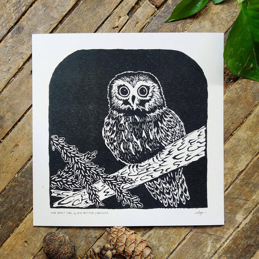 Saw-whet Owl Linoprint