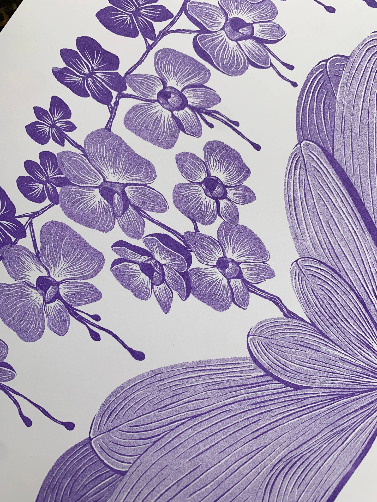 Orchid Bloom Print