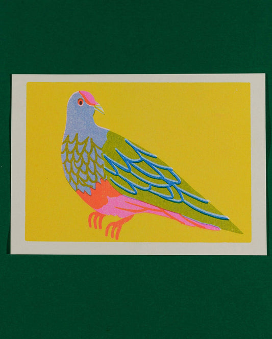 Fruit Dove print