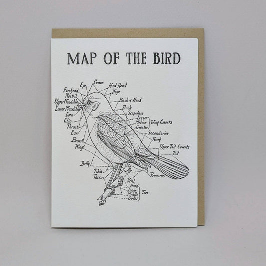 Map of the Bird
