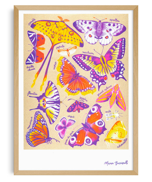 A3 Poster - Manon Bucciarelli - Butterflies