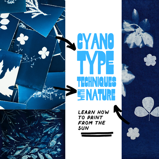 Cyanotype Nature Prints August 15th