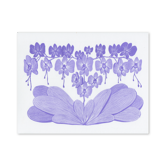Orchid Bloom Print
