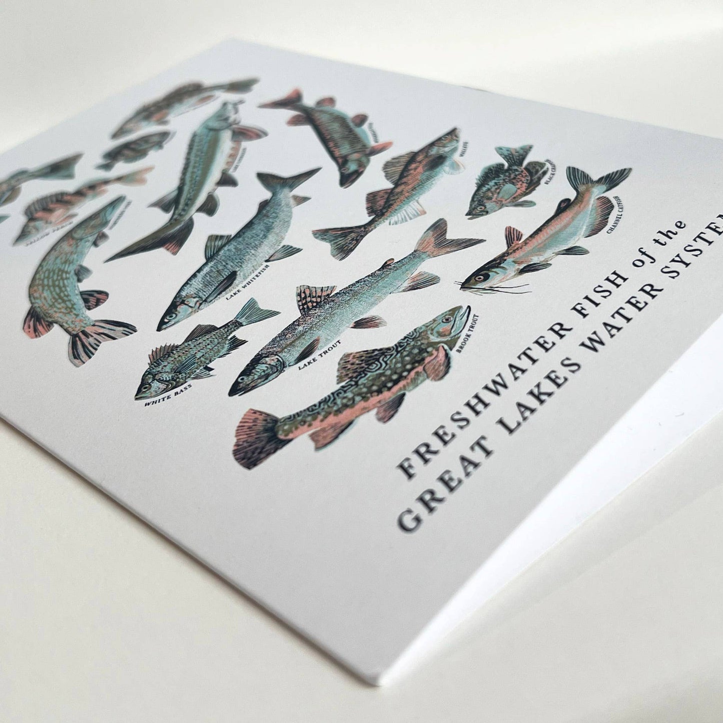 Great Lakes Nature Greeting Cards -Blank Inside: Style 1: Fish of the Great Lakes