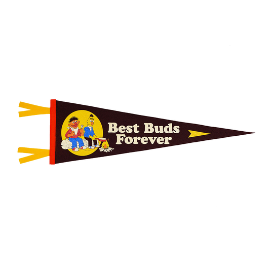Best Buds Forever Pennant • Sesame Street x Oxford Pennant