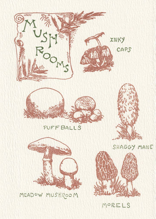 Mushroom Guide: Unsleeved