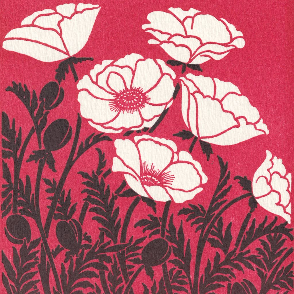 Papaver: Unsleeved